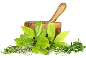 Rooted in Ayurveda