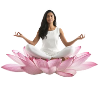 Women’s Wellness